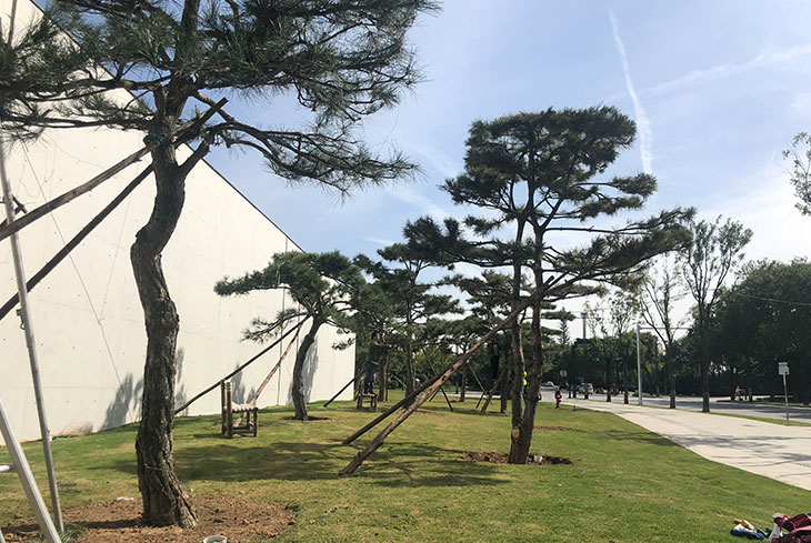 曲江松麓公園景觀工程設計