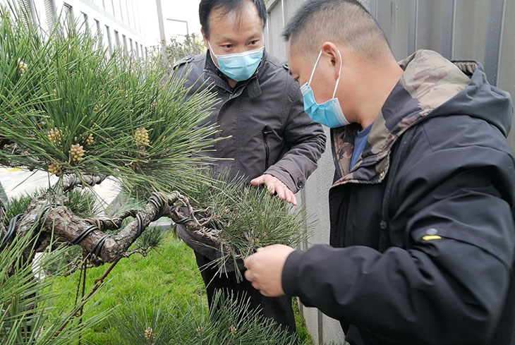 西安中晶華邑酒店景觀設計